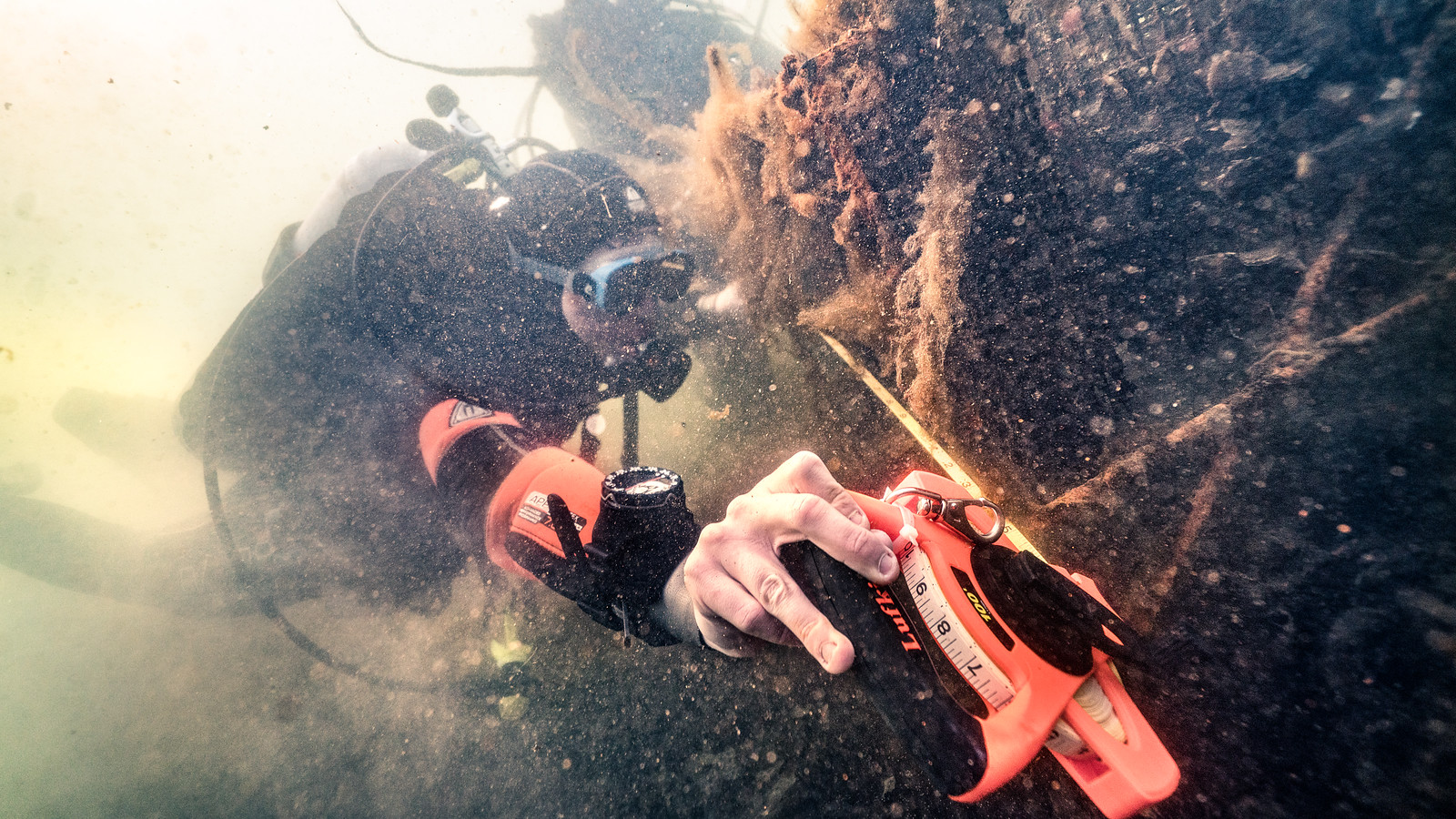 Students are monitoring oyster grow sites underwater