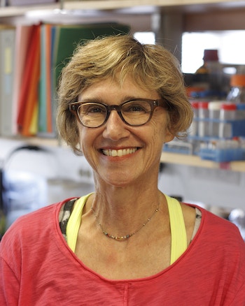 Portrait photo of Gail Mandel