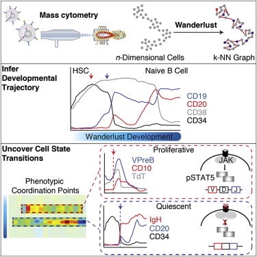 Graphic of Wanderlust development, including Mass cytometry, inter developmental trajectory and uncover cell state transitions