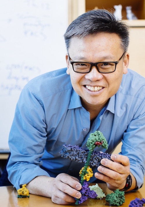 Portrait photo of Wendell Lim