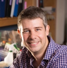 Portrait photo of Stephen Sanders