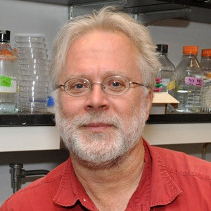 Portrait photo of Rene Hen