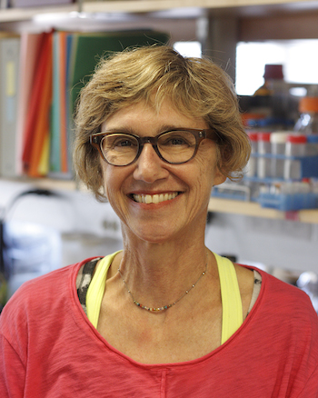 Portrait photo of Gail Mandel