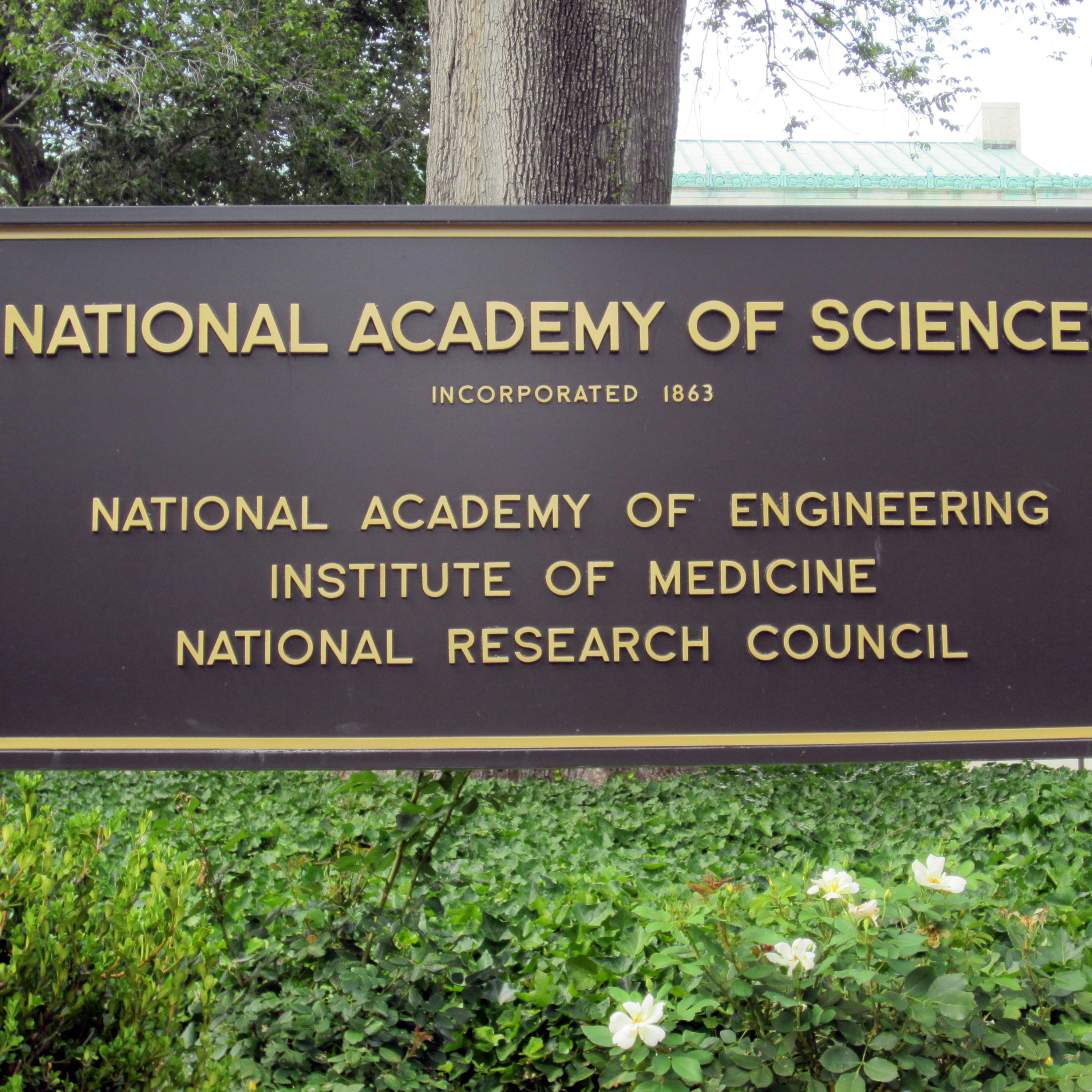 National Academy of Sciences Elects Six Simons Research Grantees and