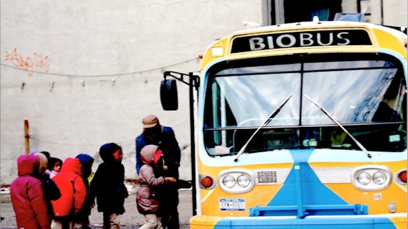 Adult helps group of 8 young kids board a school bus labelled biobus