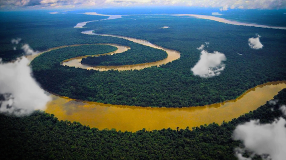Amazon Forest and Amazon River