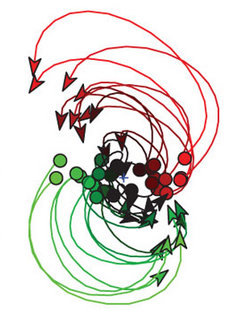 A projection of the activity of a population of motor cortex neurons activity during reaching.