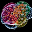 brain with overlaid colorful network nodes