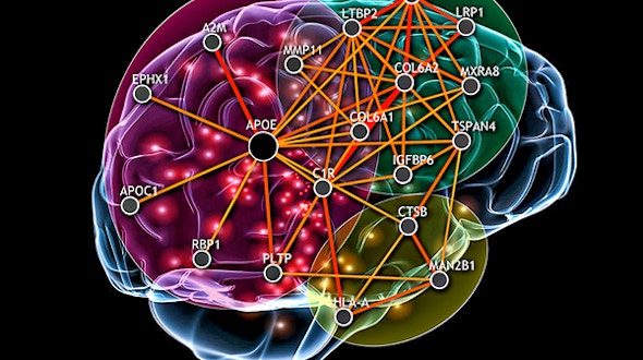 brain with overlaid colorful network nodes