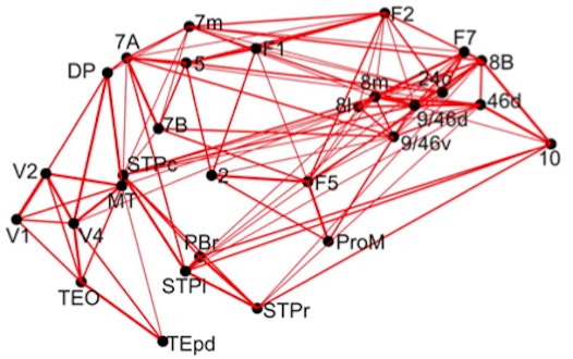 A collection of black dots connected by red lines to illustrate a large-scale brain circuit
