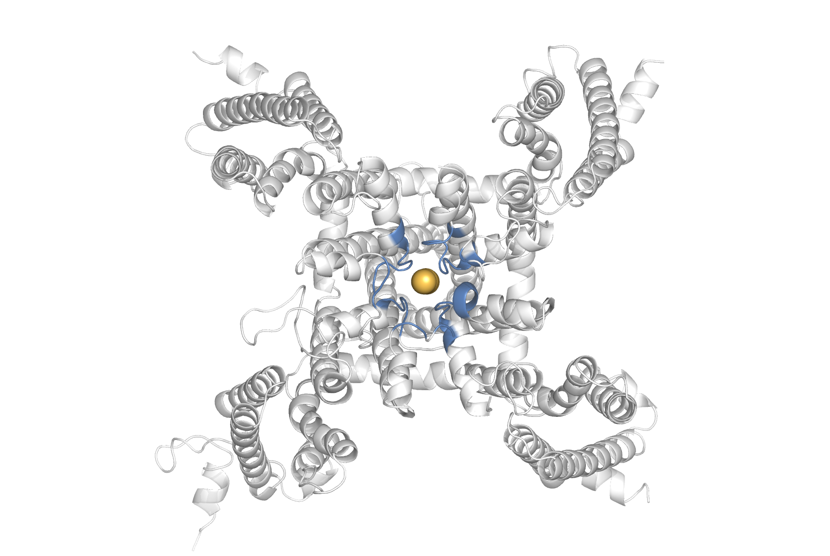 Sodium ion passing through the (blue) channel pore, and a side view