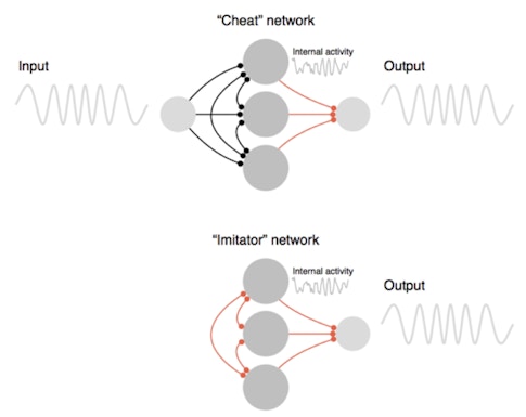 Graph showing how the cheater network (top) receives the desired output as an input. Combined with strong, random recurrent connections (black), this input allows the network to produce the desired output trivially through a set of learned output connections (red). The imitator network (bottom) does not receive an external input. Instead it must copy the activity of every neuron in the cheater network (one example is shown) by modifying its recurrent connections (red) so that it can produce the desired output