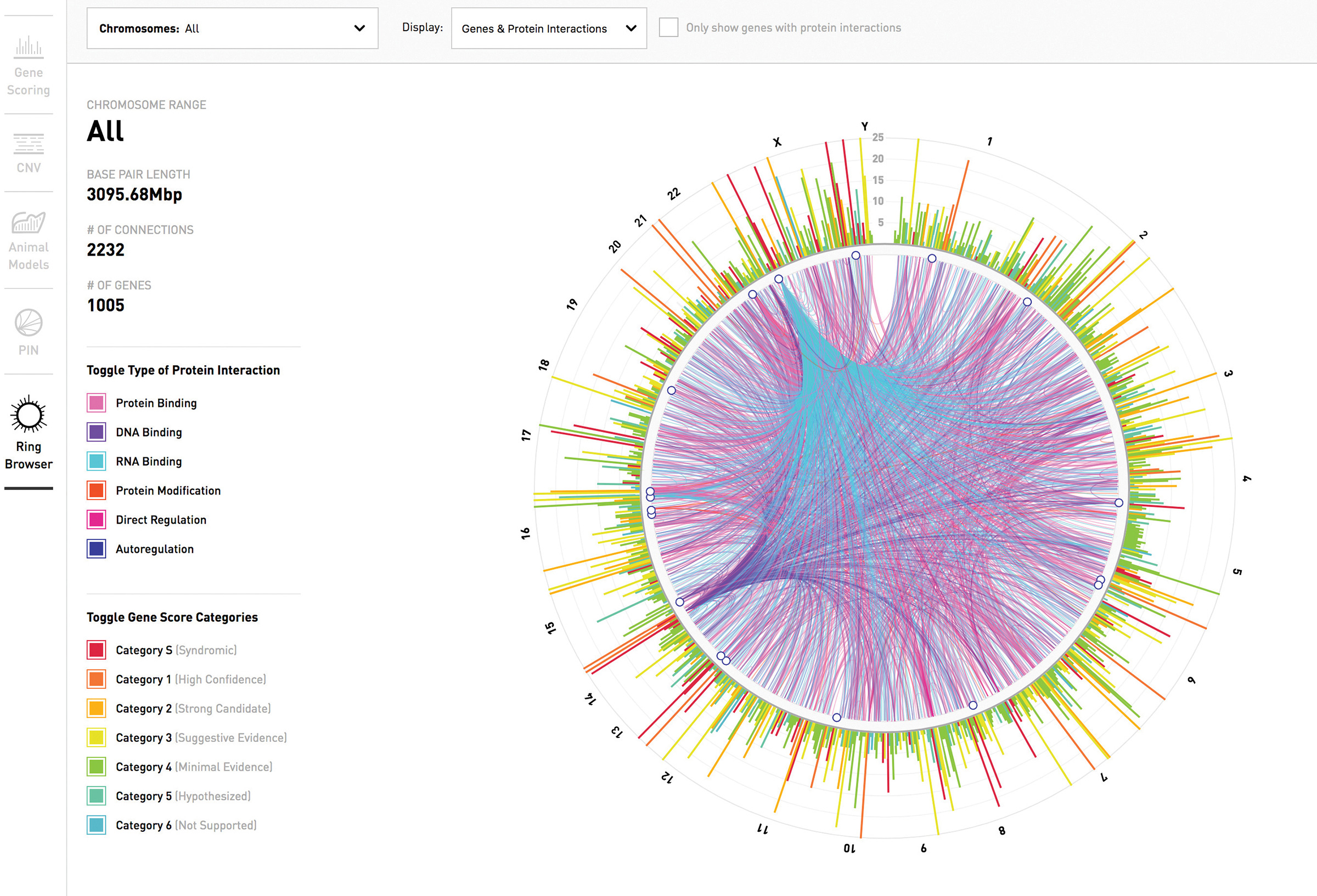 A visualization of the human genetic information contained in the SFARI Gene database. The outer shell displays a curated subset of genes spread across the 23 chromosome pairs. The color of each gene indicates the confidence of the gene’s predicted link to autism, with red indicating the strongest links. The shell’s interior connects genes associated with the same protein interaction