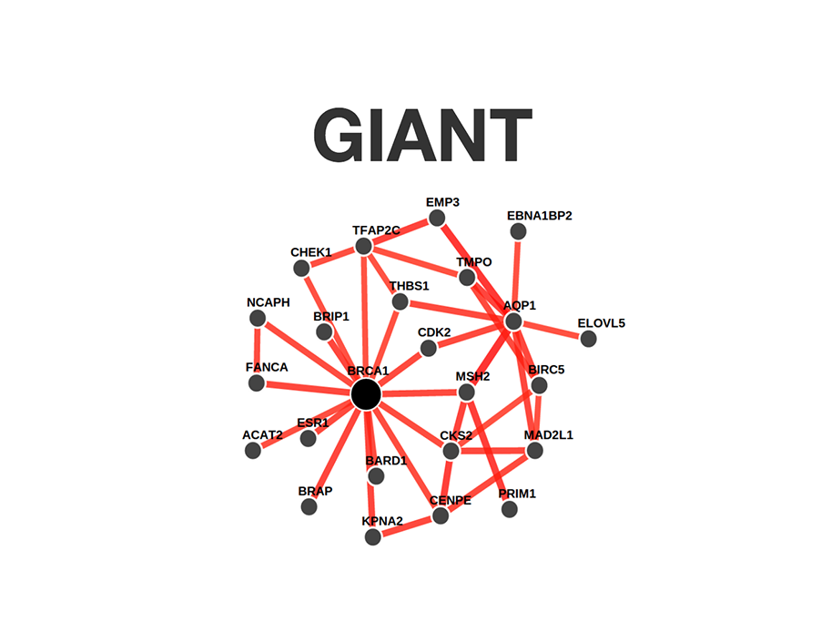Project Image for GIANT