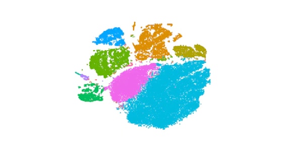 Project Image for FFT-accelerated Interpolation-based t-SNE