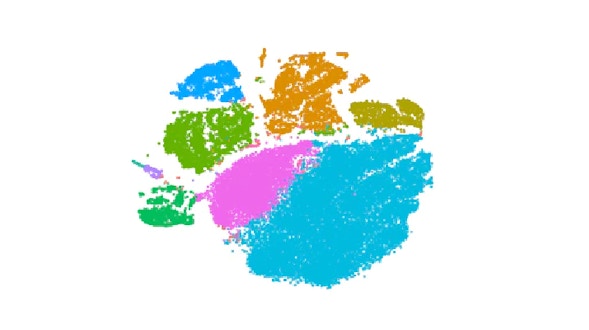 Project Image for FFT-accelerated Interpolation-based t-SNE