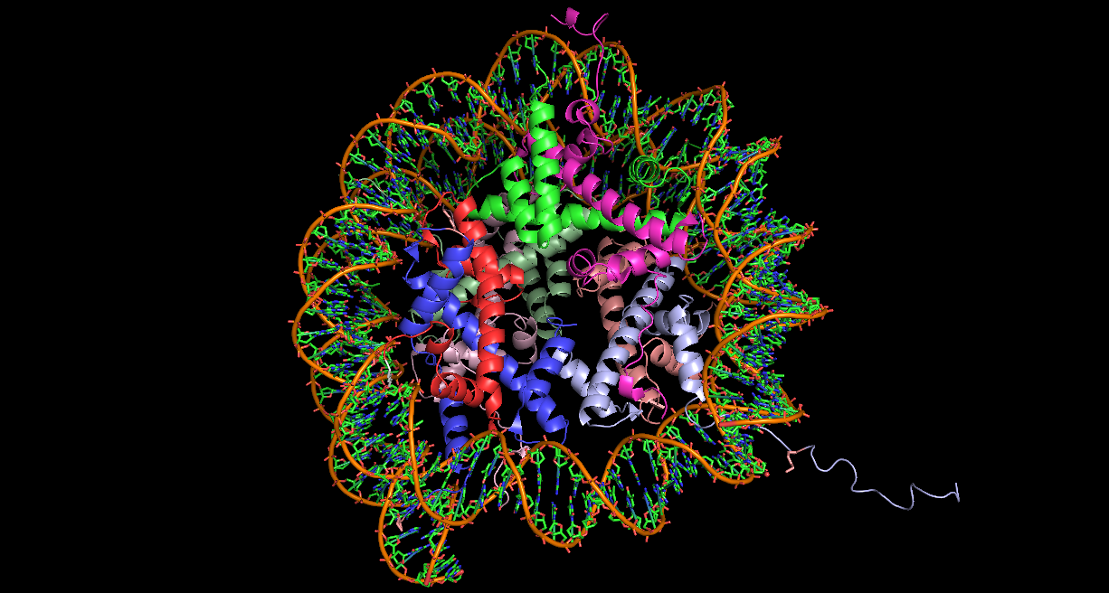 The Genetic Riddle Wrapped in a Chromatin Mystery
