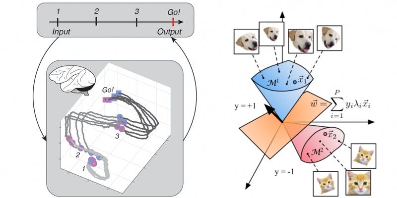 Simons Collaboration on the Global Brain research models