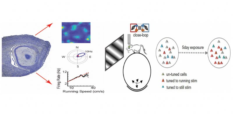 An image showing experimental procedure for a moment experiment with several plots