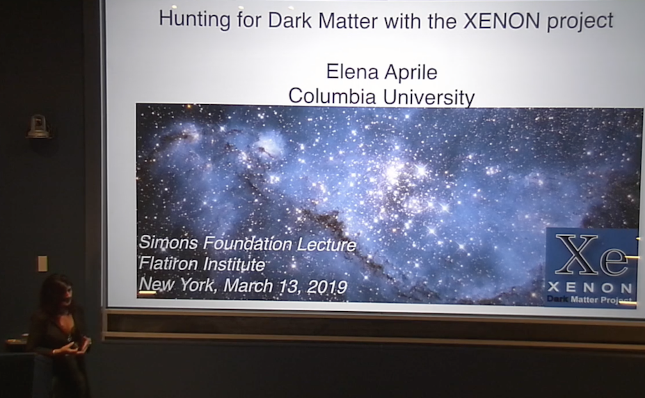 Elena Aprile gives lecture talk on hunting for dark matter with the XENON project.