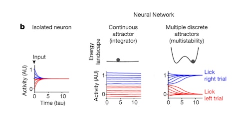 Three carts of neural networks: isolated neurons, continuous attractor (integrator) and multiple discrete attractors (multistability)