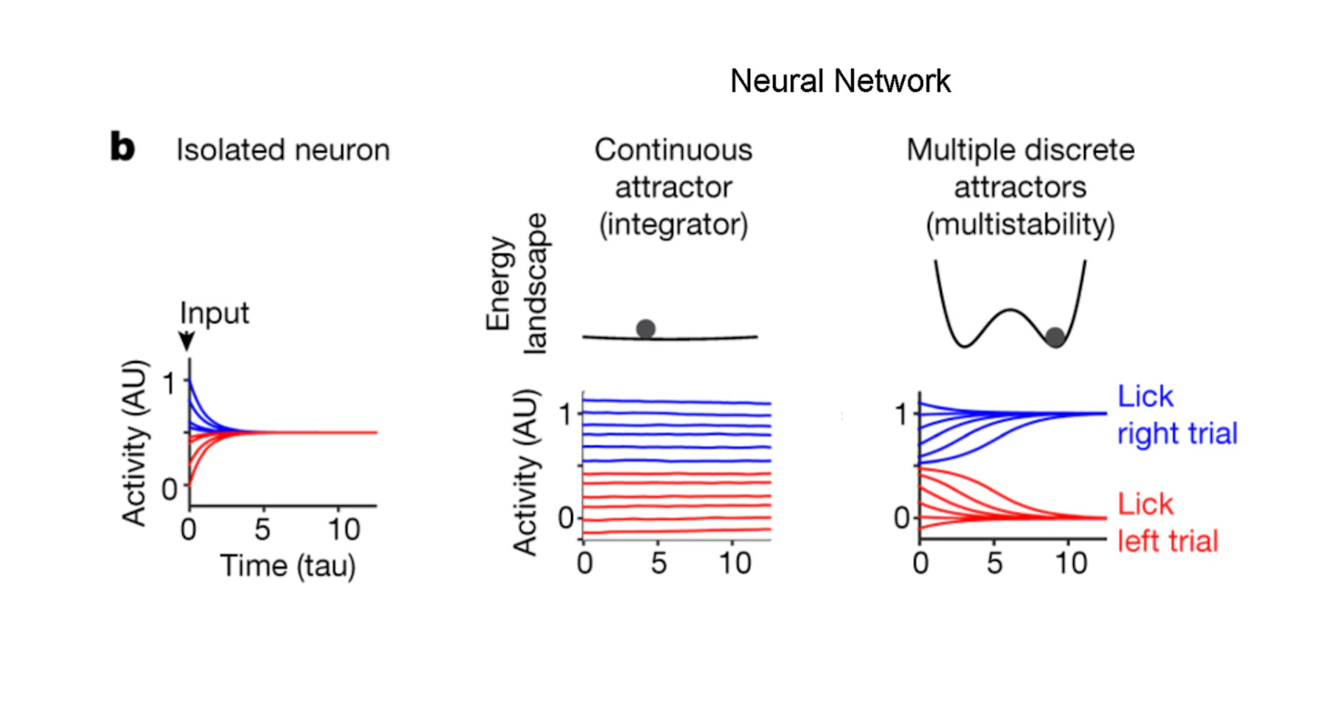How the Brain Holds On to Working Memory