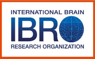 Logo for International Brain Research Organization (IBRO)