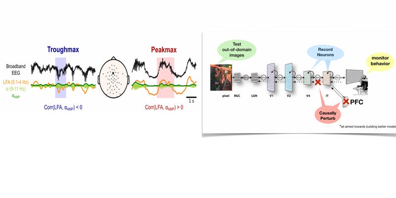 Image of Broadband EEG, LFA (0.1-4 HZ) and a(9-11 Hz) Troughmaxes and Peakmaxes, next to image of monitor behavior