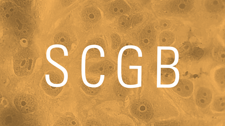 Dusty orange tinted microscopic image with SCGB on top