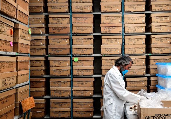 boxes of genetic samples