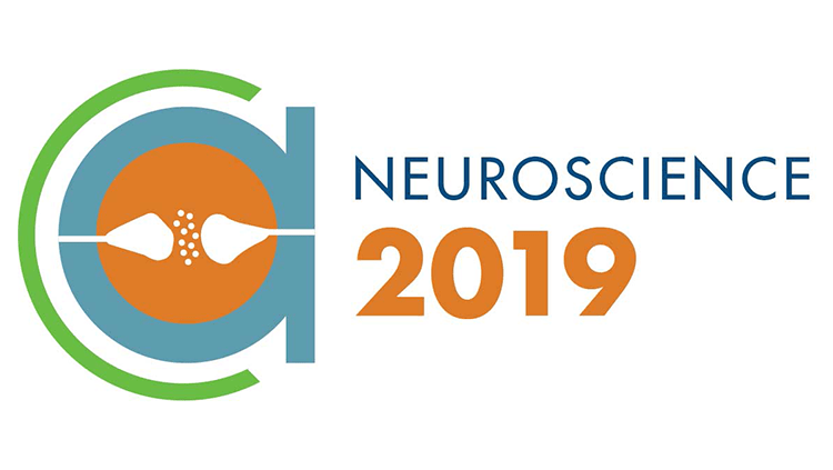 SFN 2019 logo