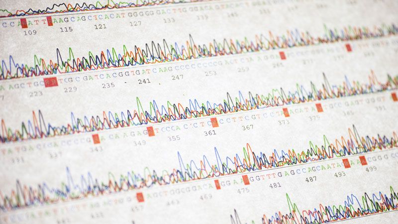 DNA analysis print out