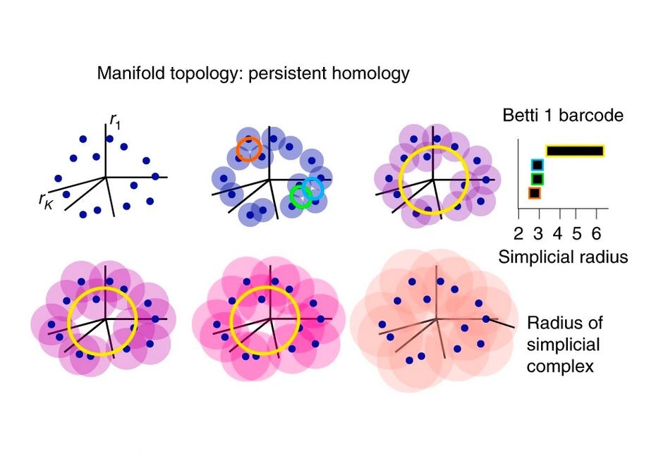 Uncovering Hidden Dimensions in Brain Signals