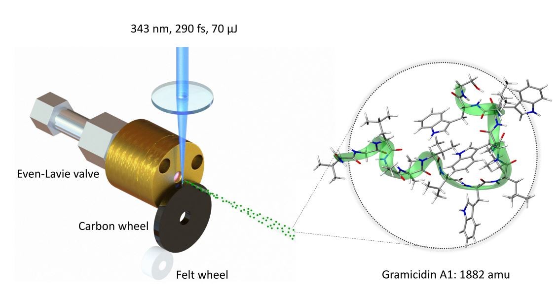 experimental set-up diagram