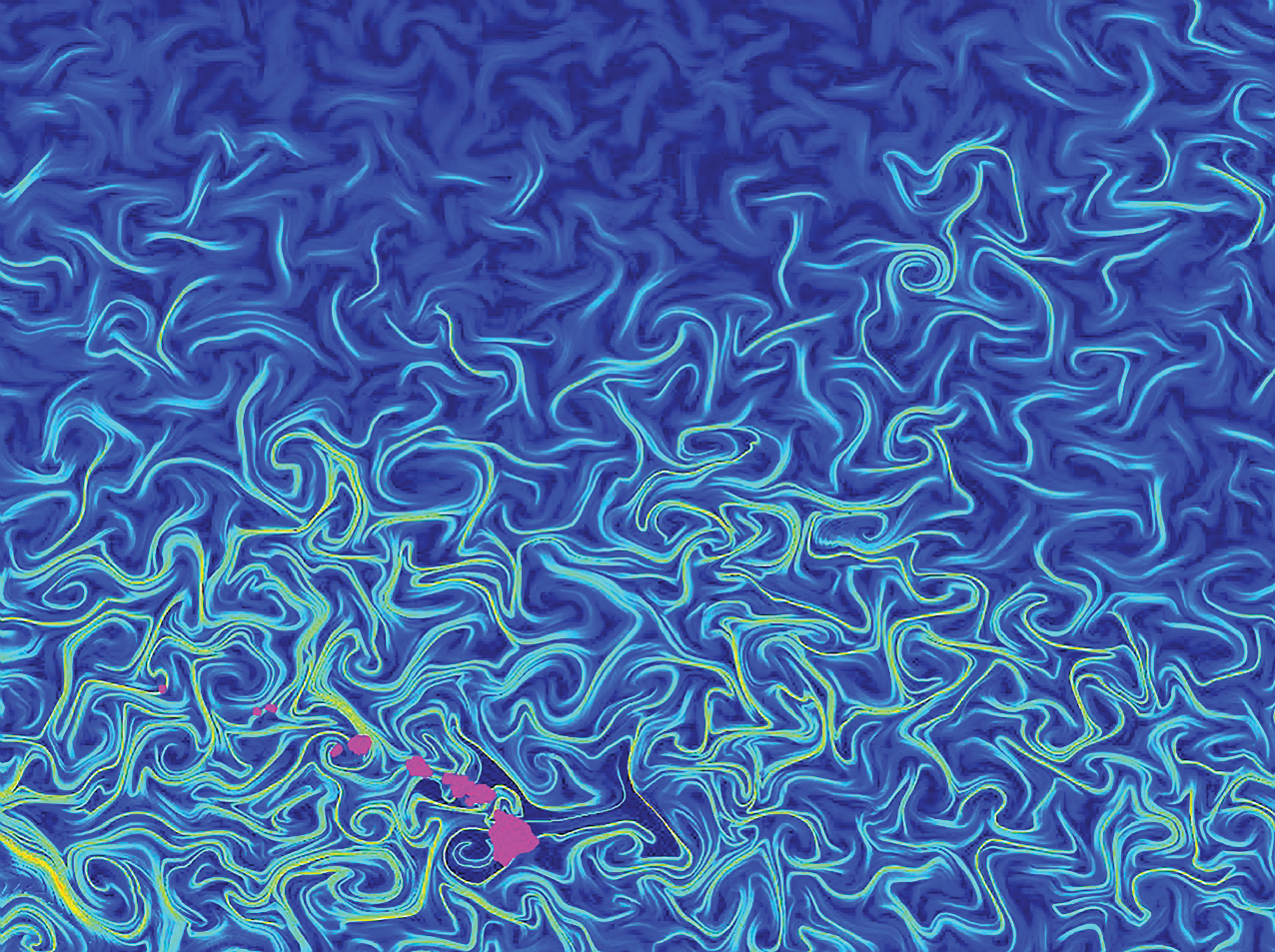 Mathematical model of microbe populations by Hawai'i