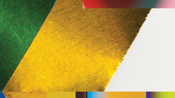 Header image for Curiosity Is More Beautiful Than Ignorance