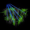 Light stimulating dozens of neurons with near single-cell precision