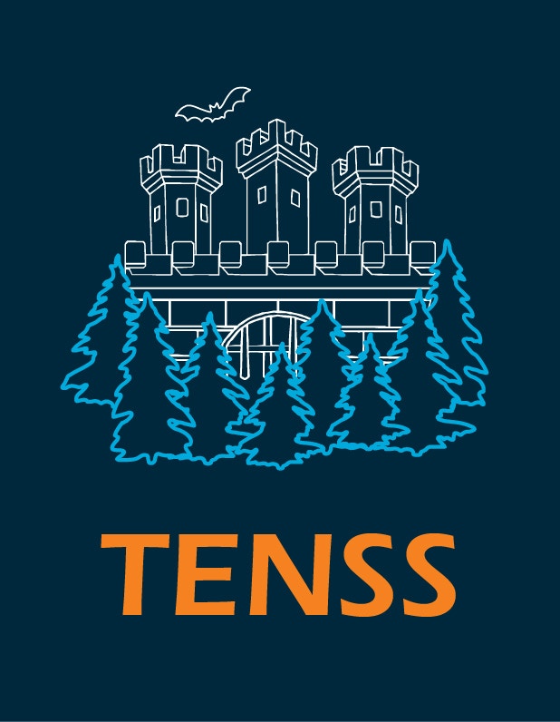 transylvania experimental neuroscience summer school