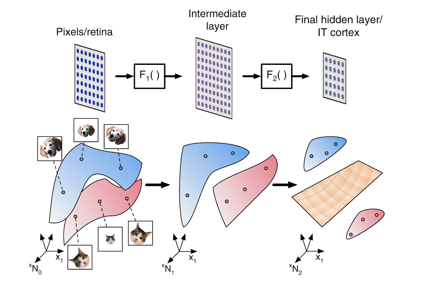 How Do Deep Networks of AI Learn?