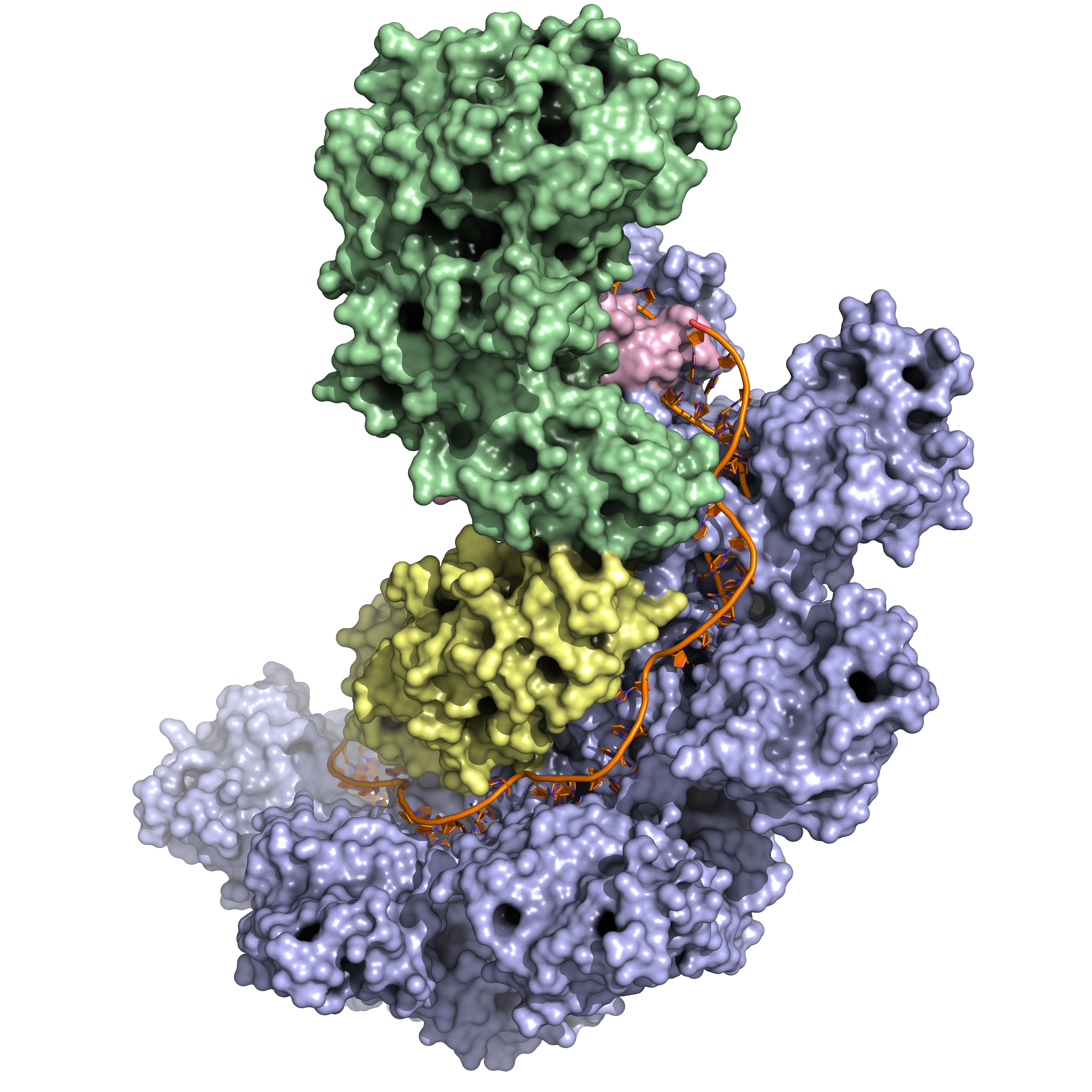 On the Homepage: A CRISPR-Associated Protein Complex