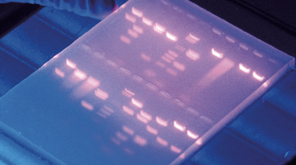 Image of genetic sequencing