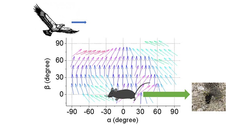 SCGB_WestCoast_March2021. Graph with the y-axis labelled as beta (degree) and the x-axis labeled as alpha (degree)