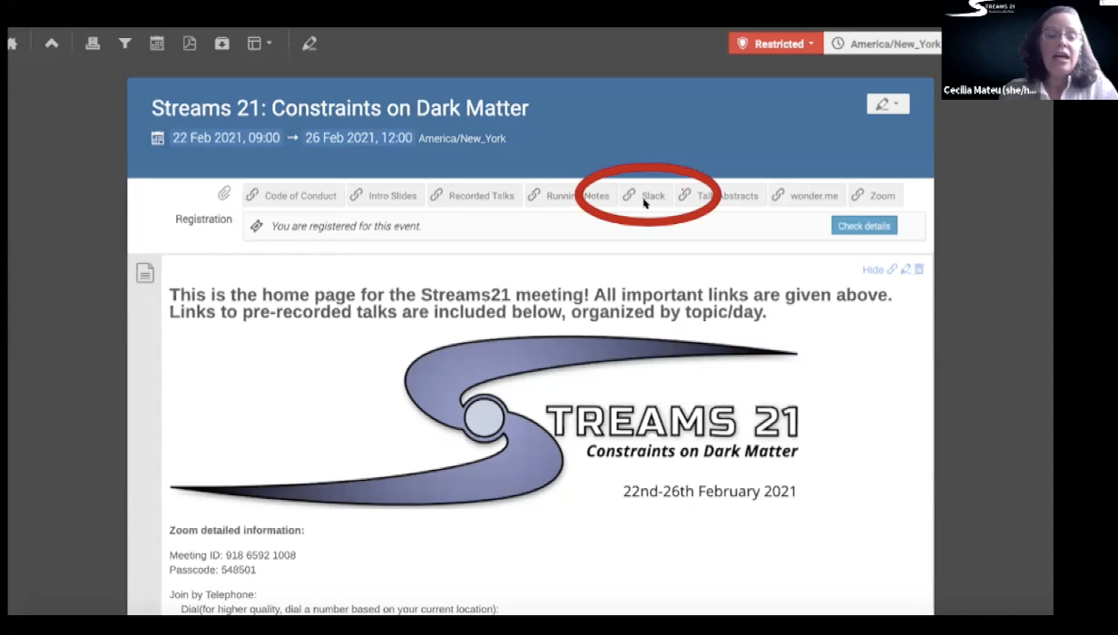 Screenshot of Cecilia Mateu giving a presentation. The slideshow's slide is titled 