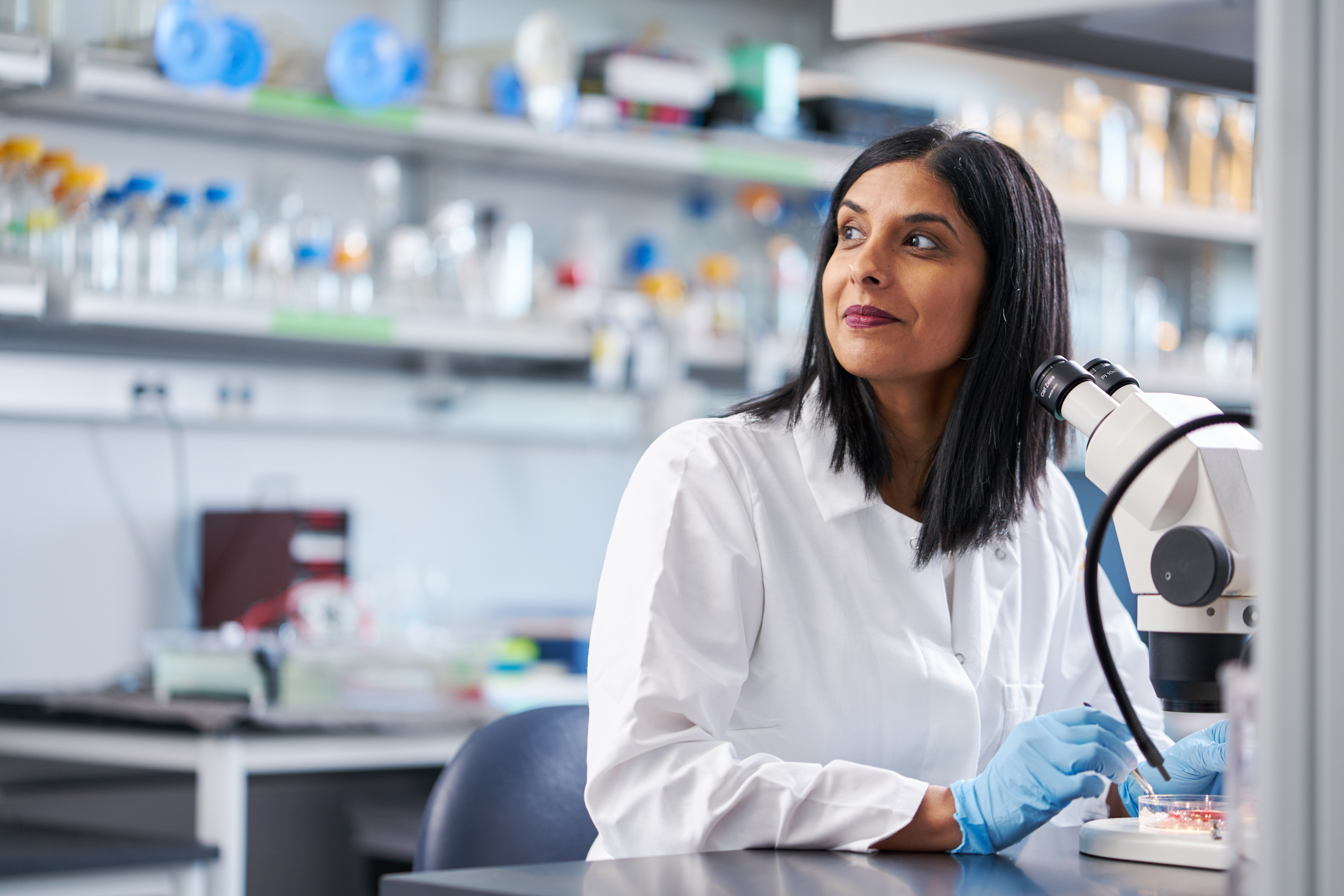 Dena Dubal sitting in front of a microscope