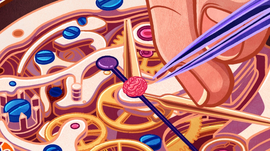 Molecular Clocks Offer New Insight into Aging