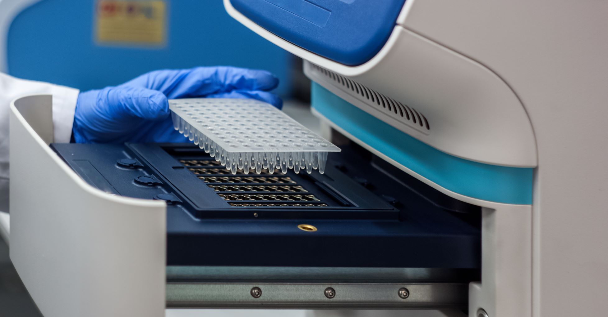 Exponentially Important: The Scientific Origins Of PCR