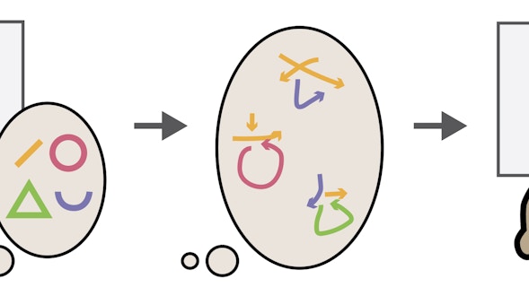 Freiwald project visual