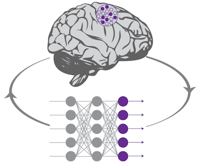 灰色和紫色大脑和圆点
