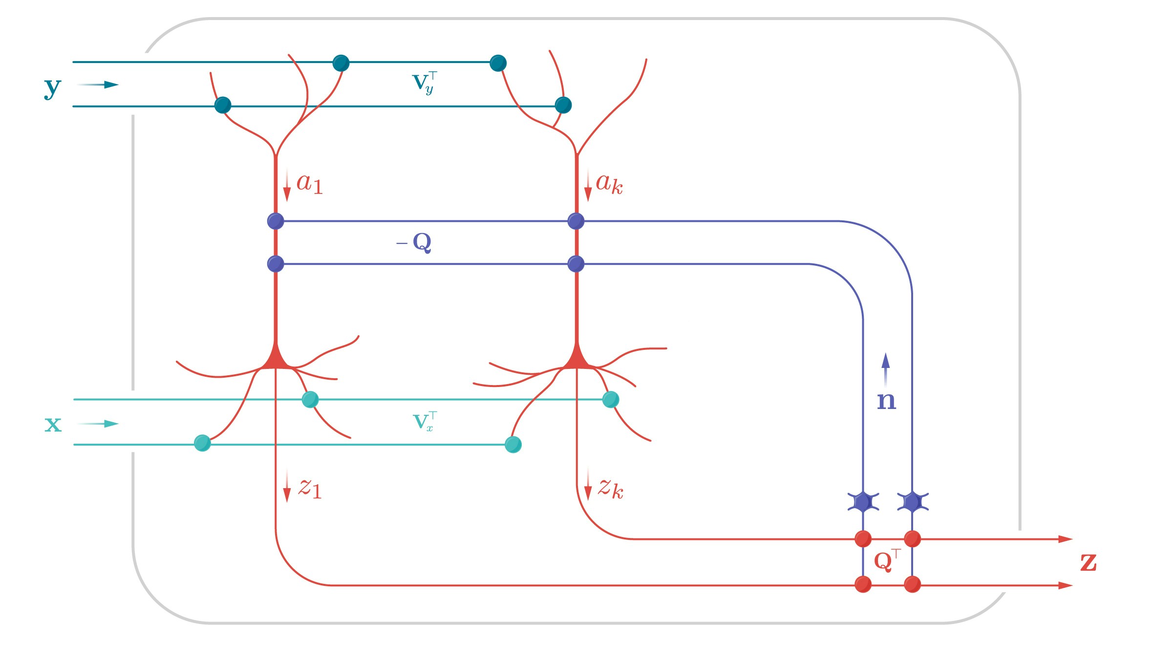 Neural Circuits and Algorithms