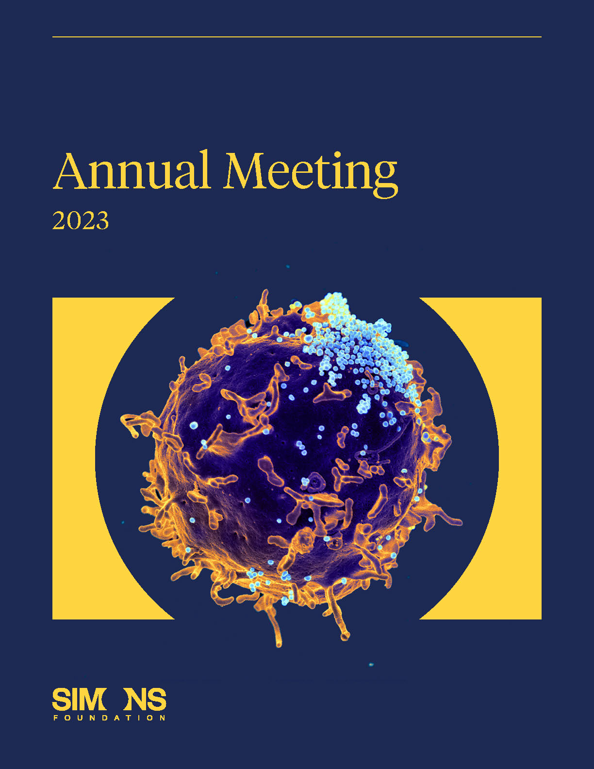 2023 Mathematics and Physical Sciences Annual Meeting booklet cover